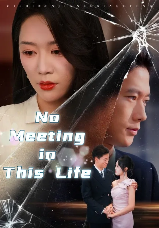 No Meeting in This Life
